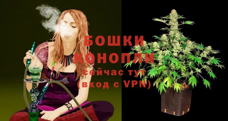 Канабис SATIVA & INDICA  купить   ОМГ ОМГ онион  Нововоронеж 